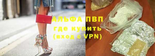 спайс Богданович