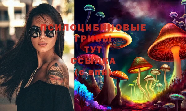 спайс Богданович