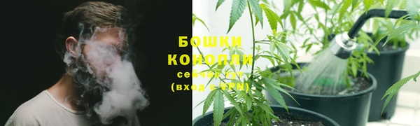 тгк Бородино