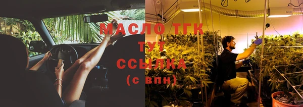 тгк Бородино